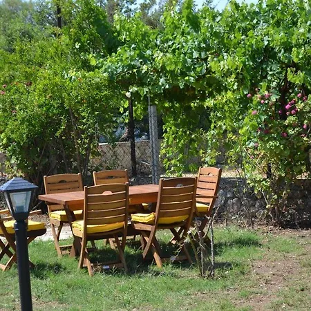 Elit Deniz Palamutbükü