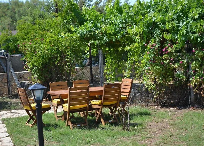 Elit Deniz Palamutbuekue Датча