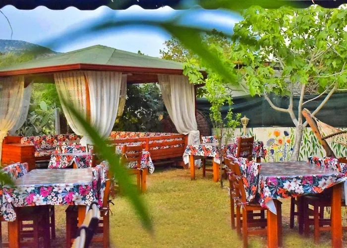 Elit Deniz Palamutbuekue Датча