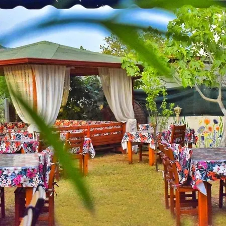 Elit Deniz Паламутбуку