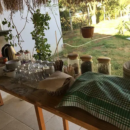Hotell Elit Deniz 3*